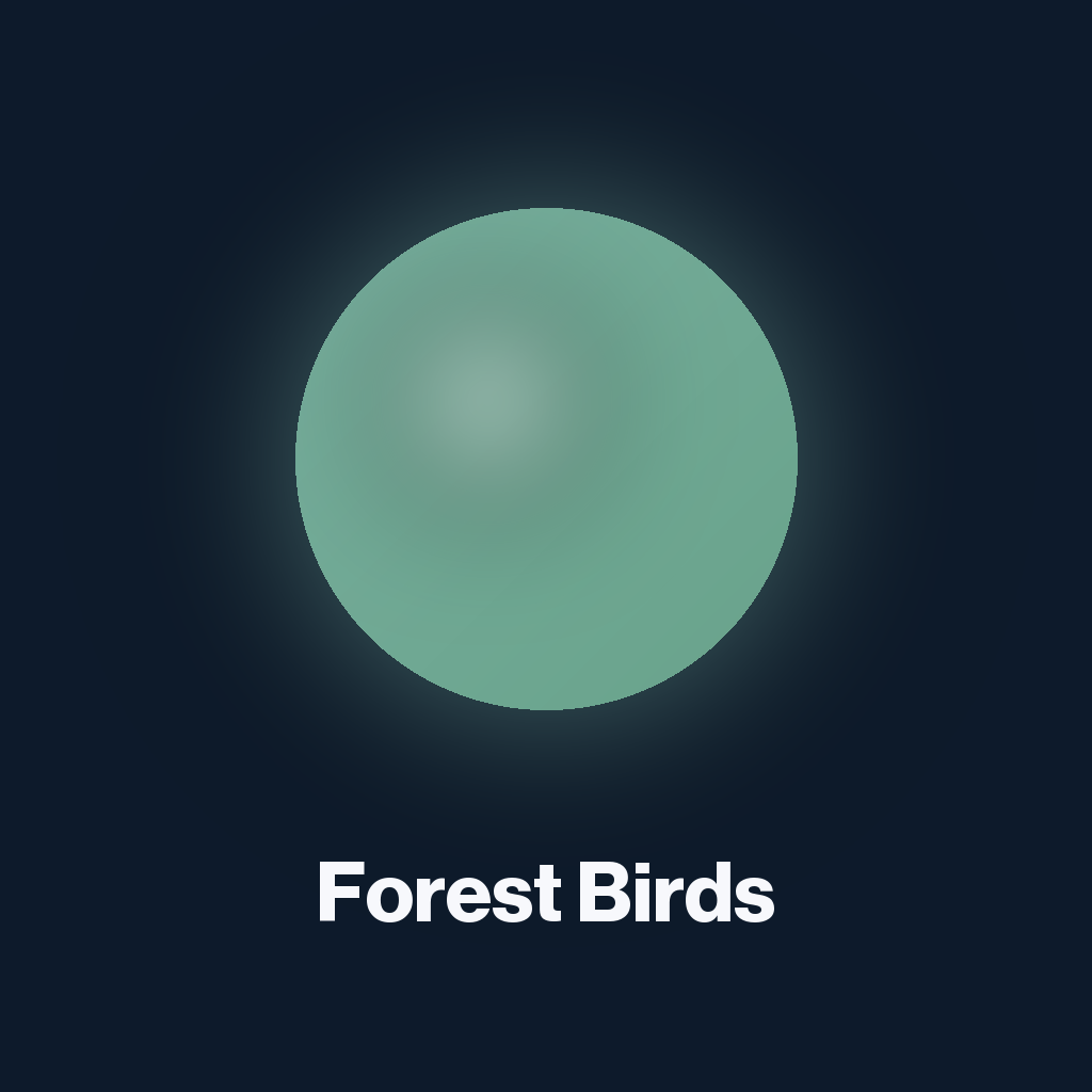 Forest Birds cover art